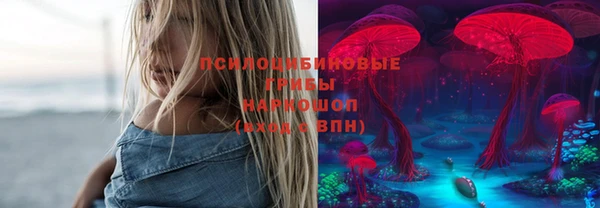PSILOCYBIN Армянск