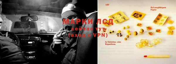 PSILOCYBIN Армянск