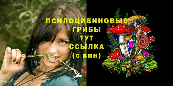 PSILOCYBIN Армянск