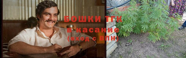 PSILOCYBIN Армянск